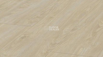 Ламинат Kronotex Exquisit Plus d4694 Дуб Мадрид фото 1 | FLOORDEALER